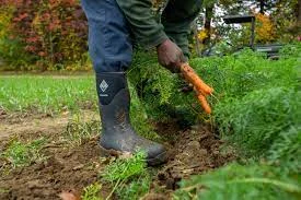 best work boots landscaping