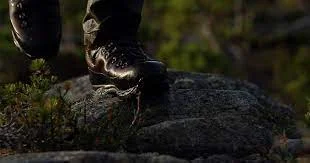 Best Hunting Boots for Any Adventure